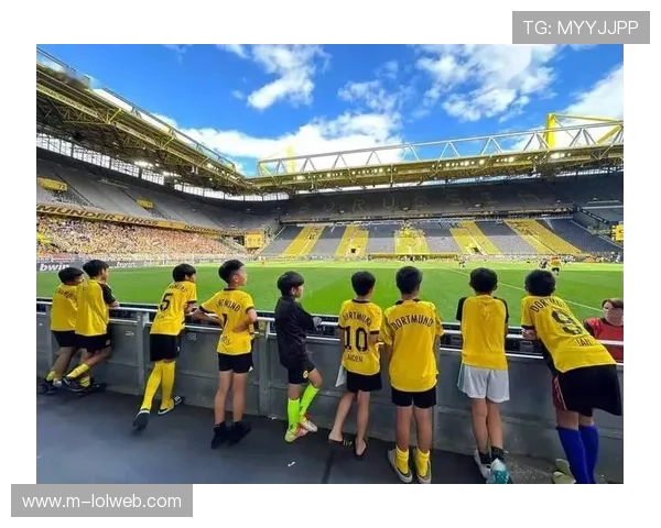 德甲青训体系分析：多特蒙德年轻球员培养模式的成功之道